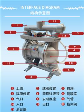 不锈钢粉体气动隔膜泵